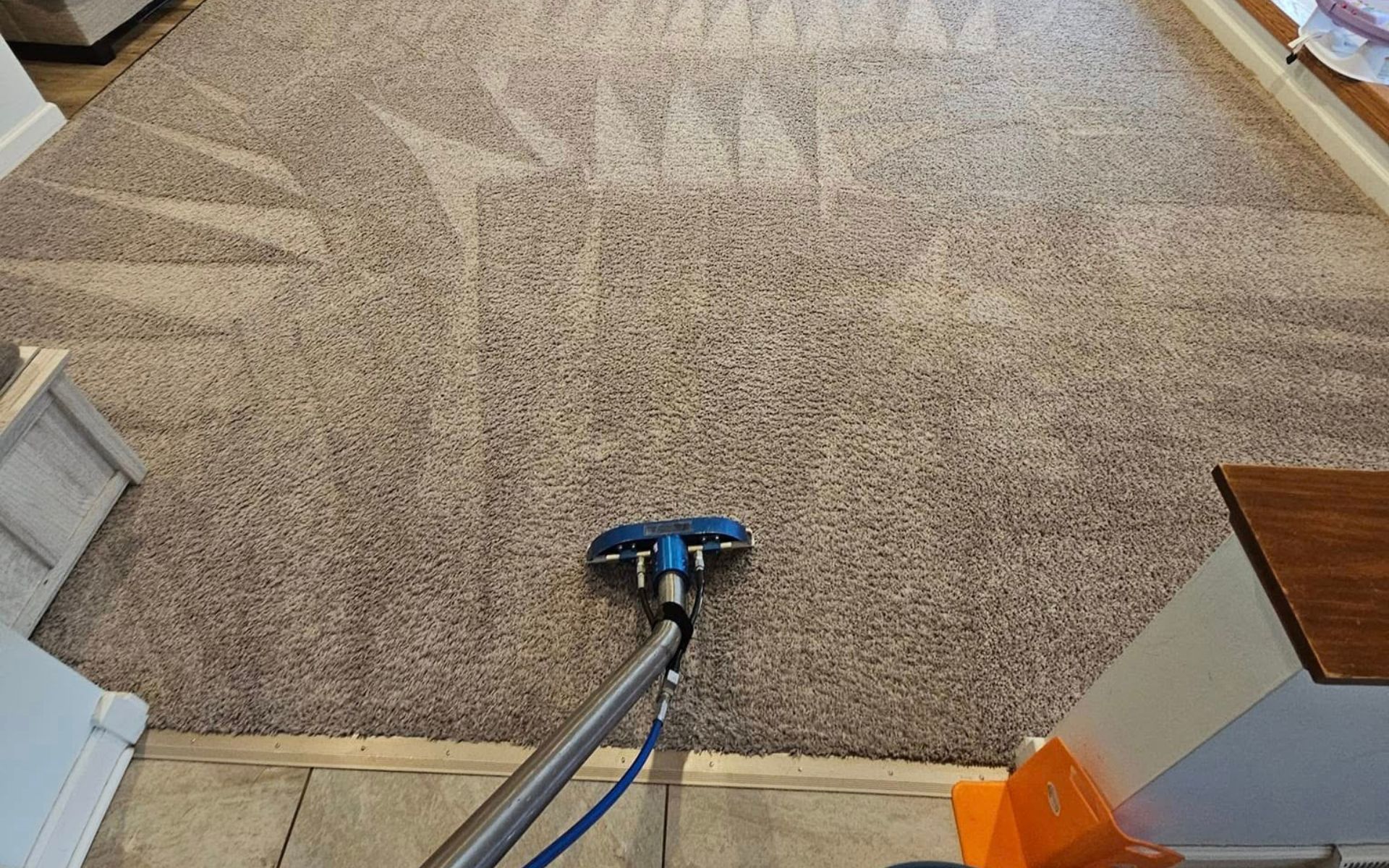 The Best Carpet Cleaning reviews