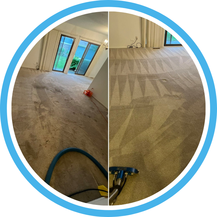 Pet Odor Stain Removal in Palatine IL