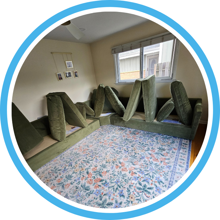 Upholstery Cleaning in Addison IL