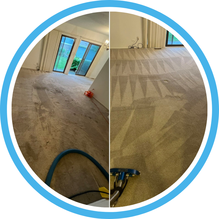 Pet Odor Stain Removal in Aurora IL