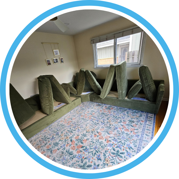 Upholstery Cleaning in Aurora IL